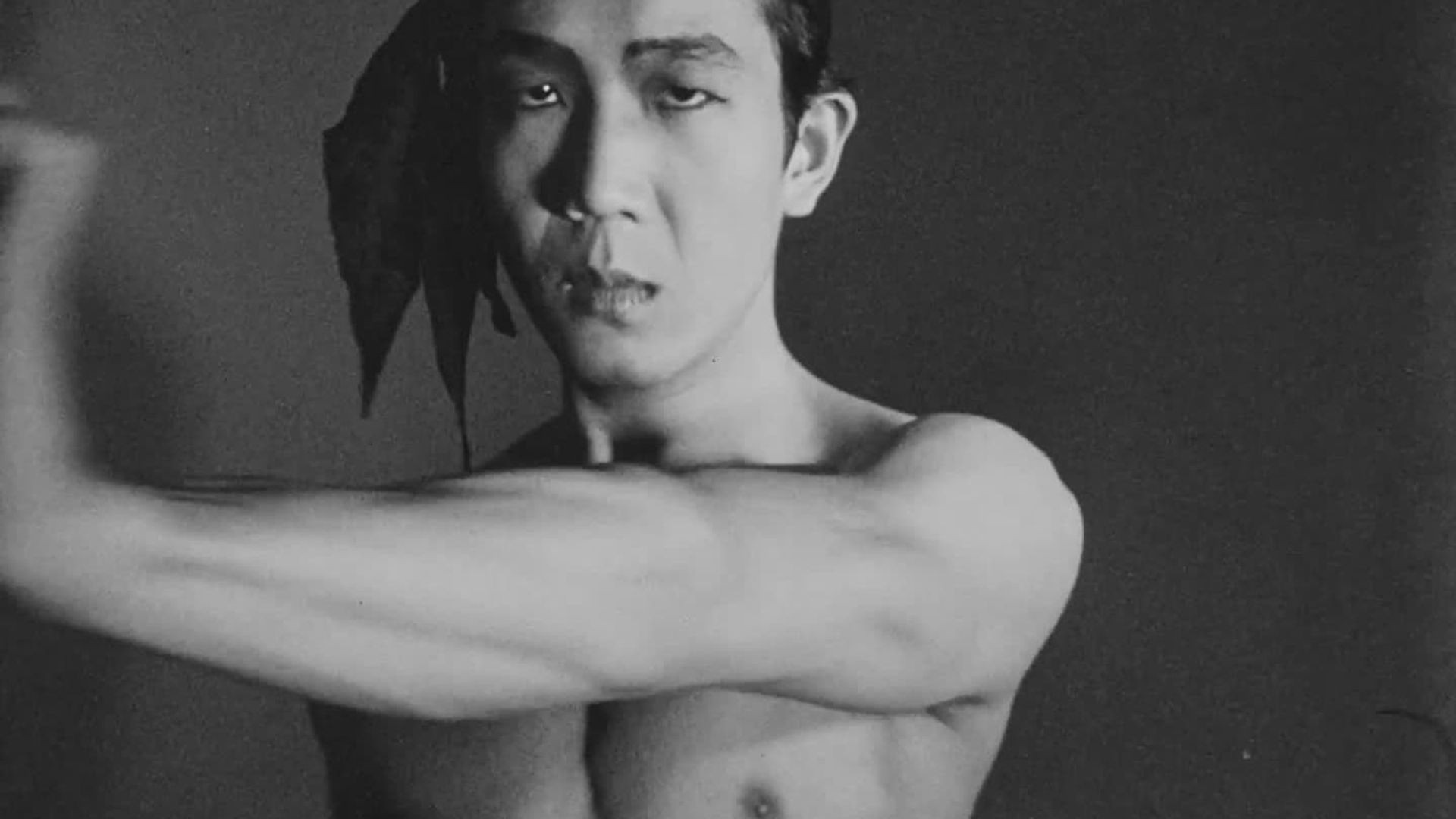 Meditation on Violence Background