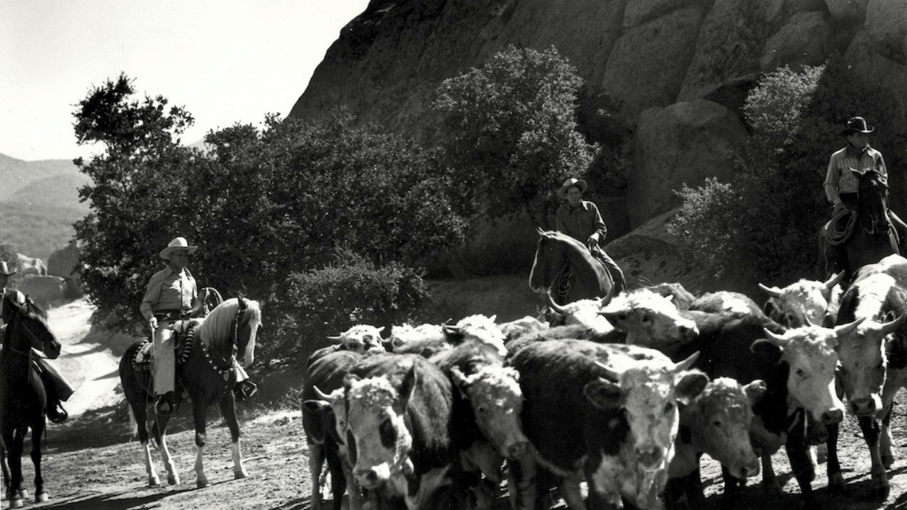 Riders in the Sky Background
