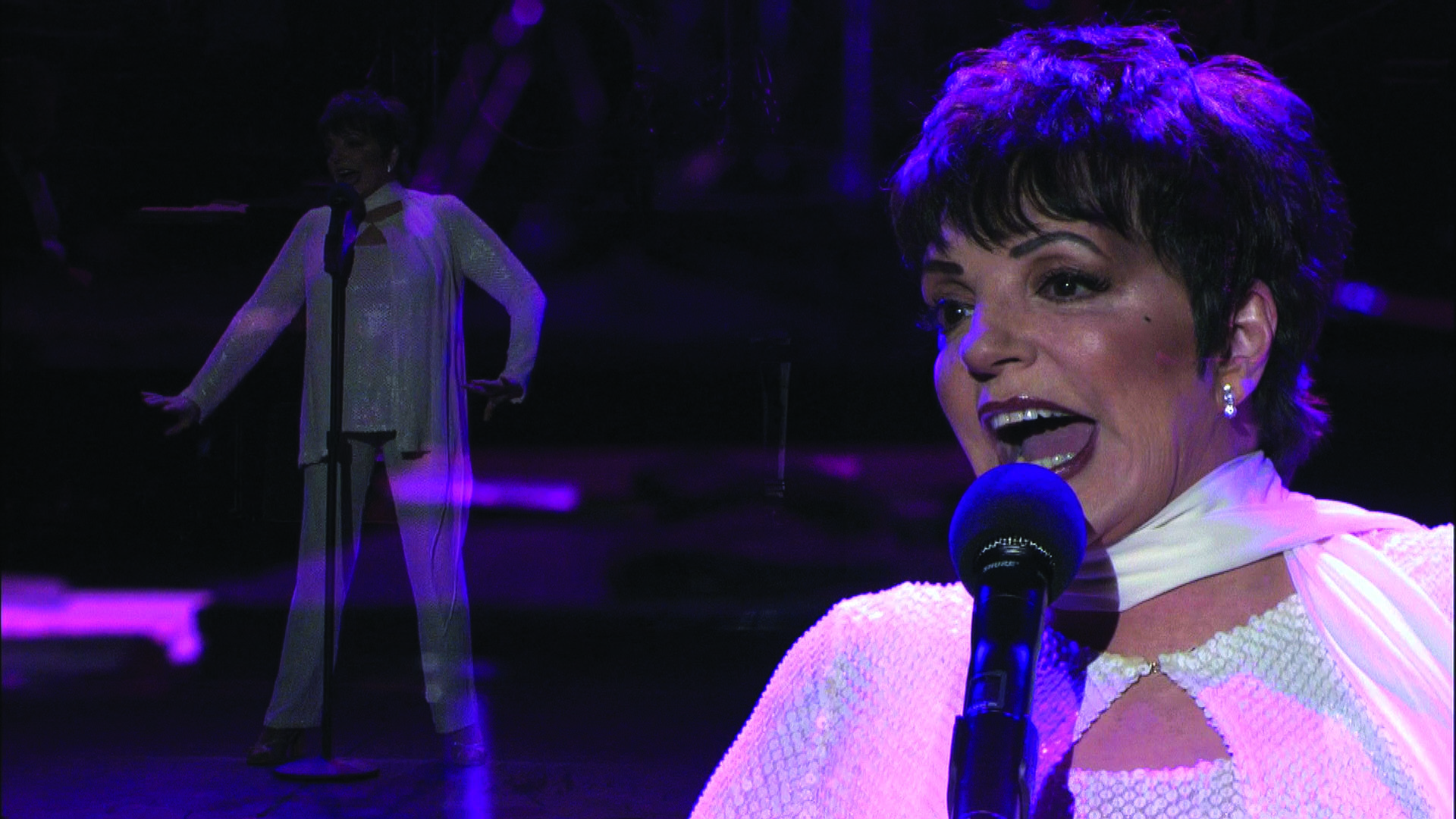 Liza Minnelli: Liza's at The Palace Background