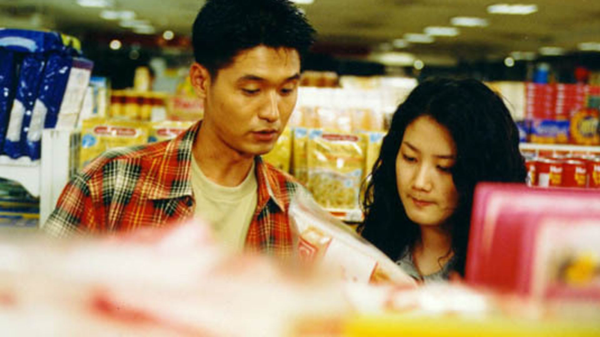 Art Museum by the Zoo Background