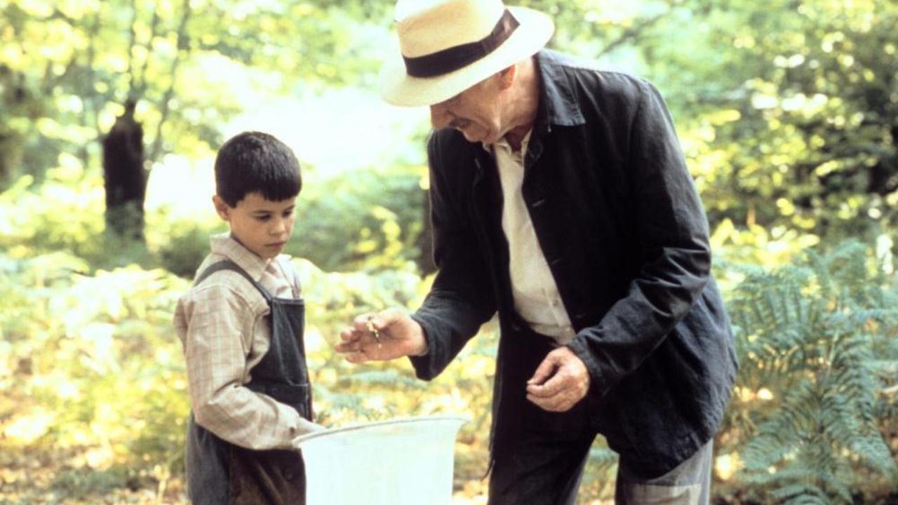 La lengua de las mariposas Background