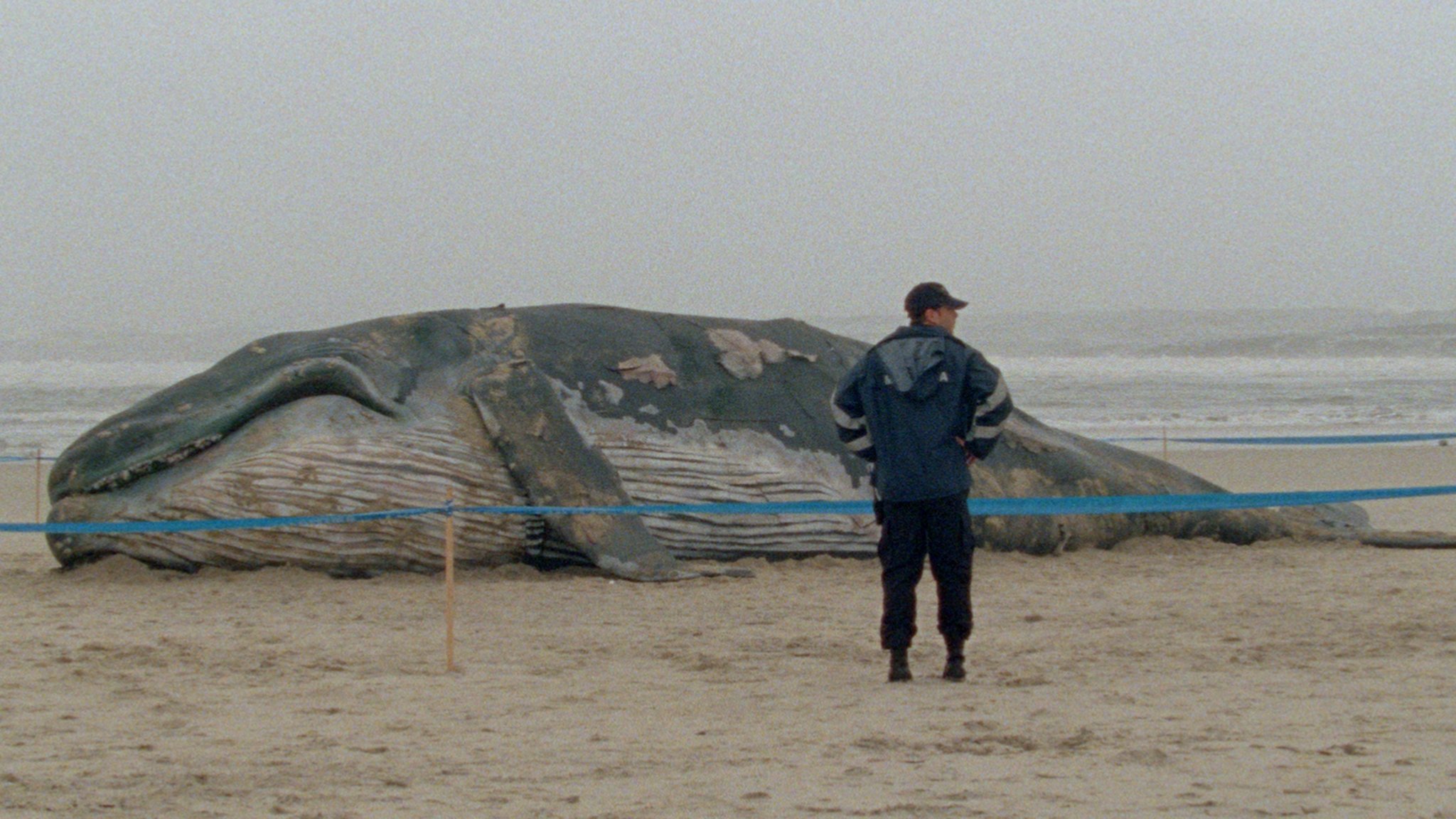 Arabian Nights: Volume 1, The Restless One Background