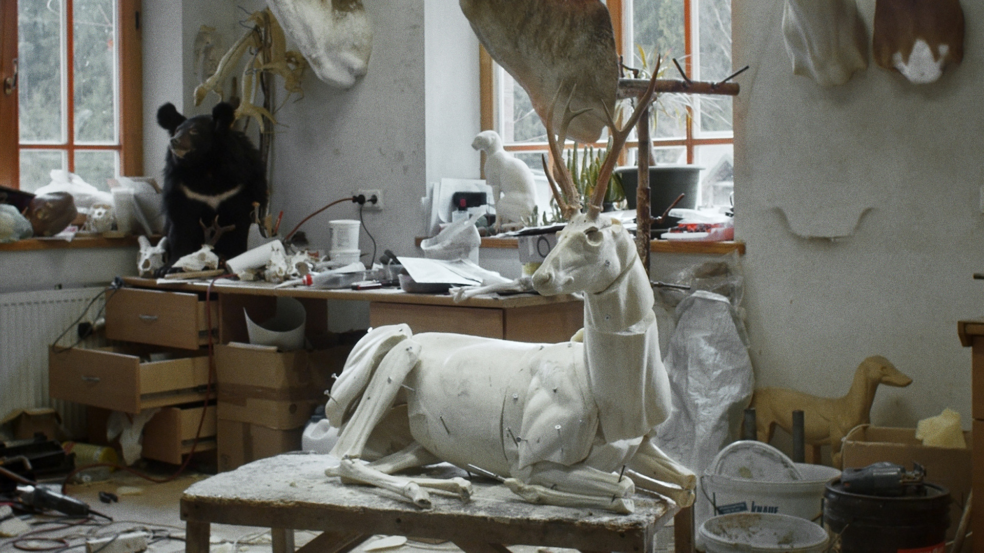 Animus Animalis (A Story about People, Animals and Things) Background