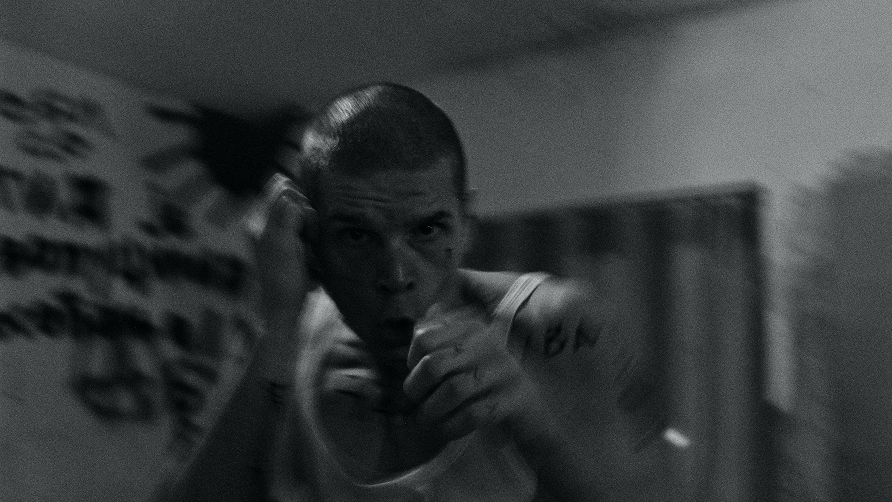 Majonezë Background