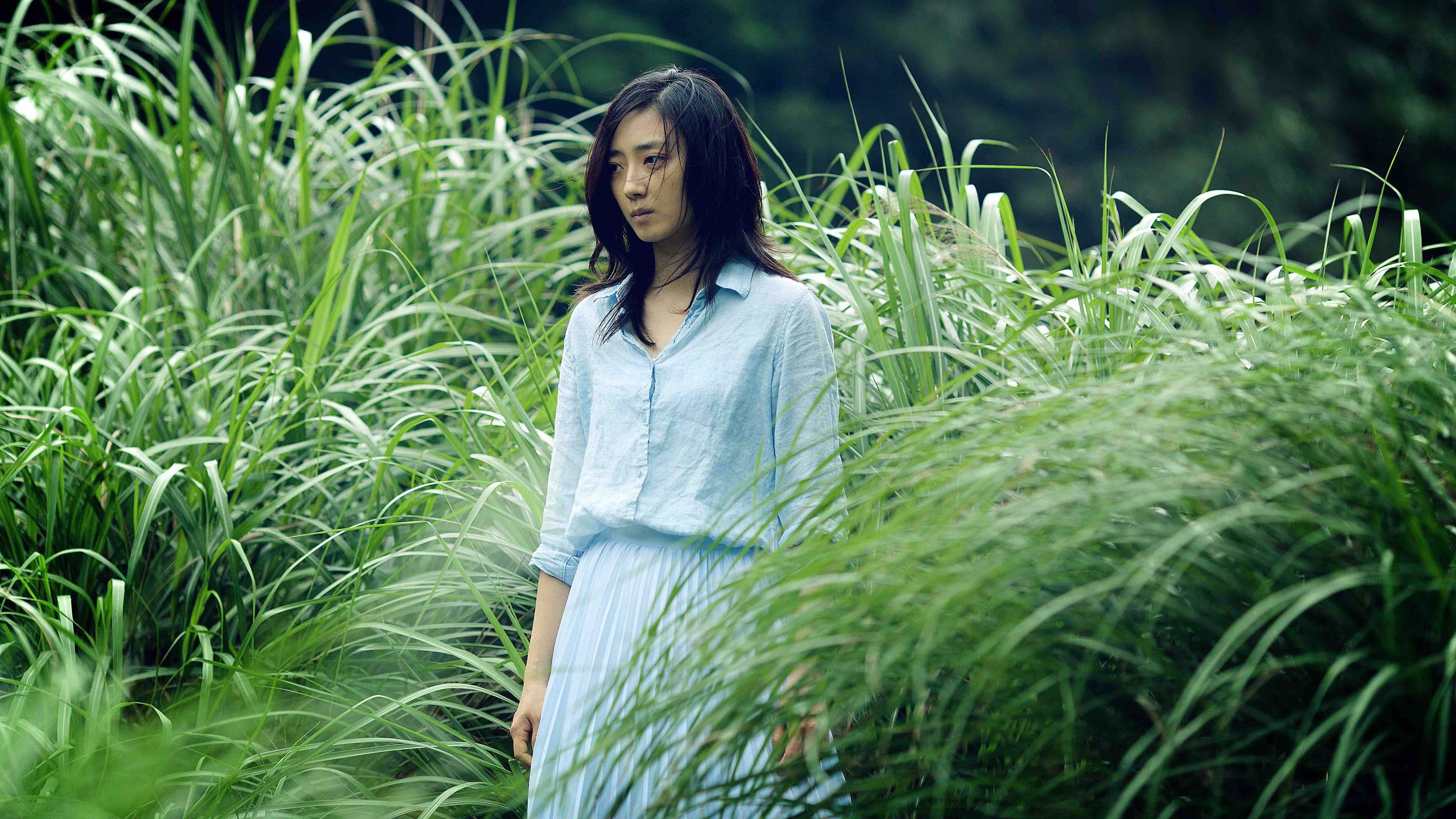 Forêt Debussy Background