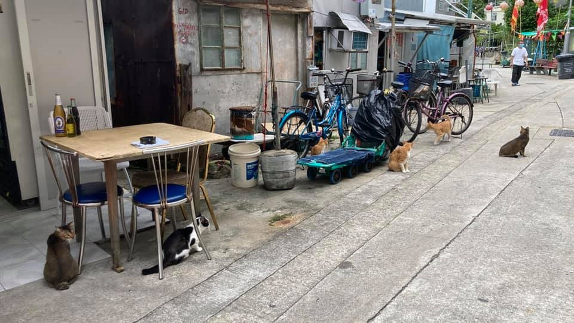 Loves, with love Background