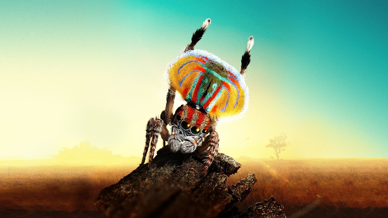 Magical Land of Oz Background