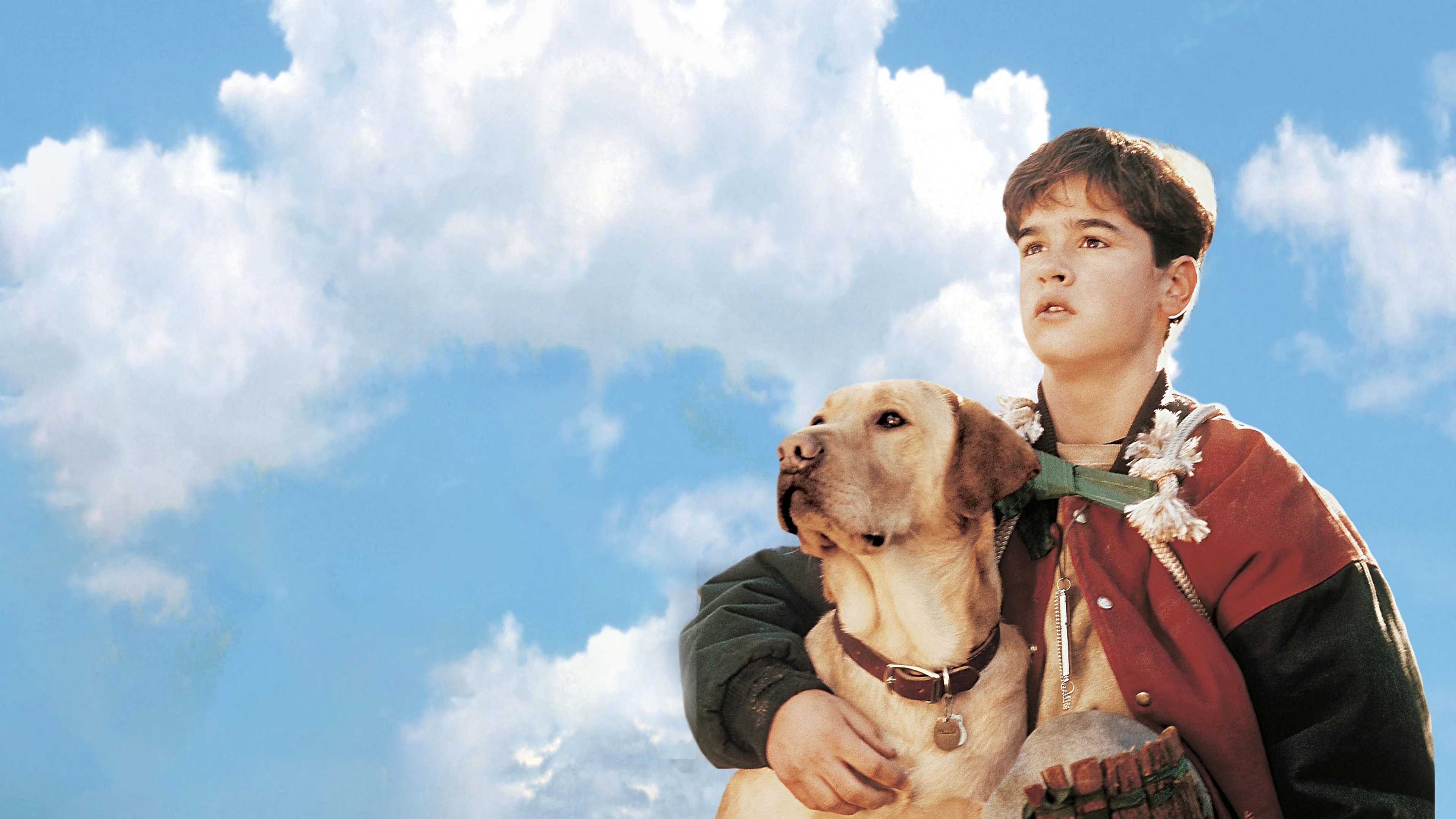 Far from Home: The Adventures of Yellow Dog Background