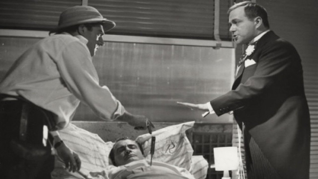 The Naked Diplomat Background