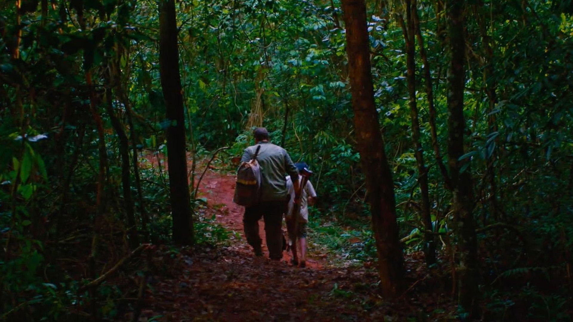 El silencio del cazador Background