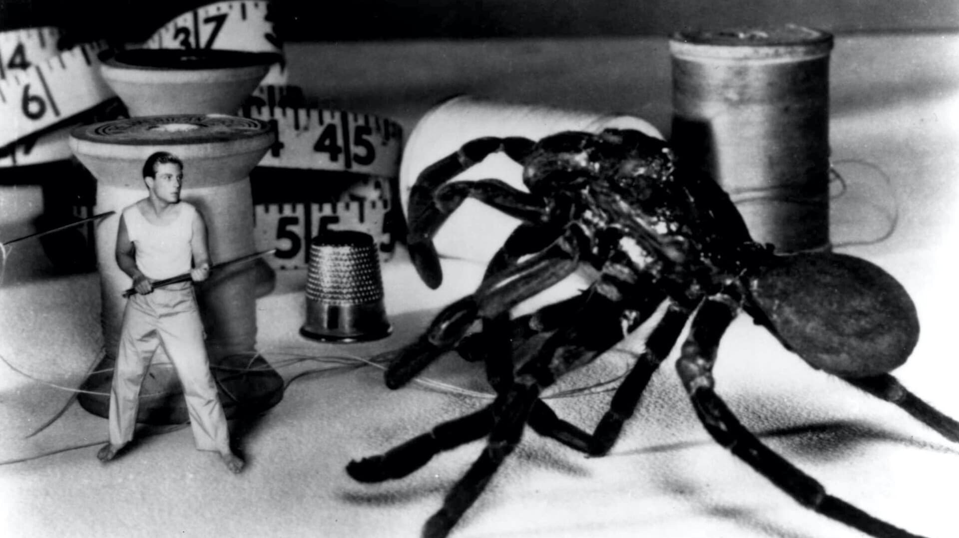 The Incredible Shrinking Man Background