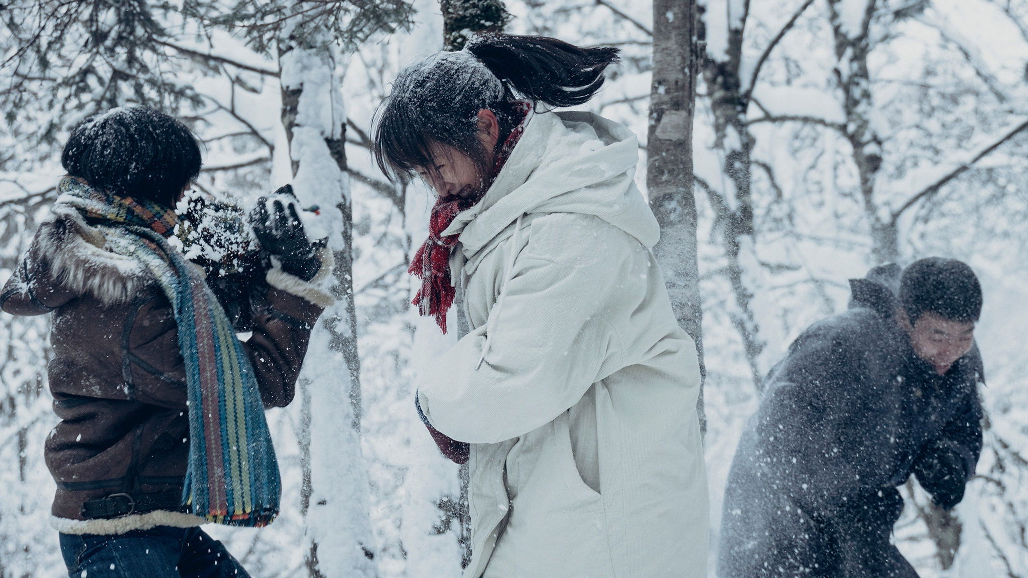 Wisdom Tooth Background