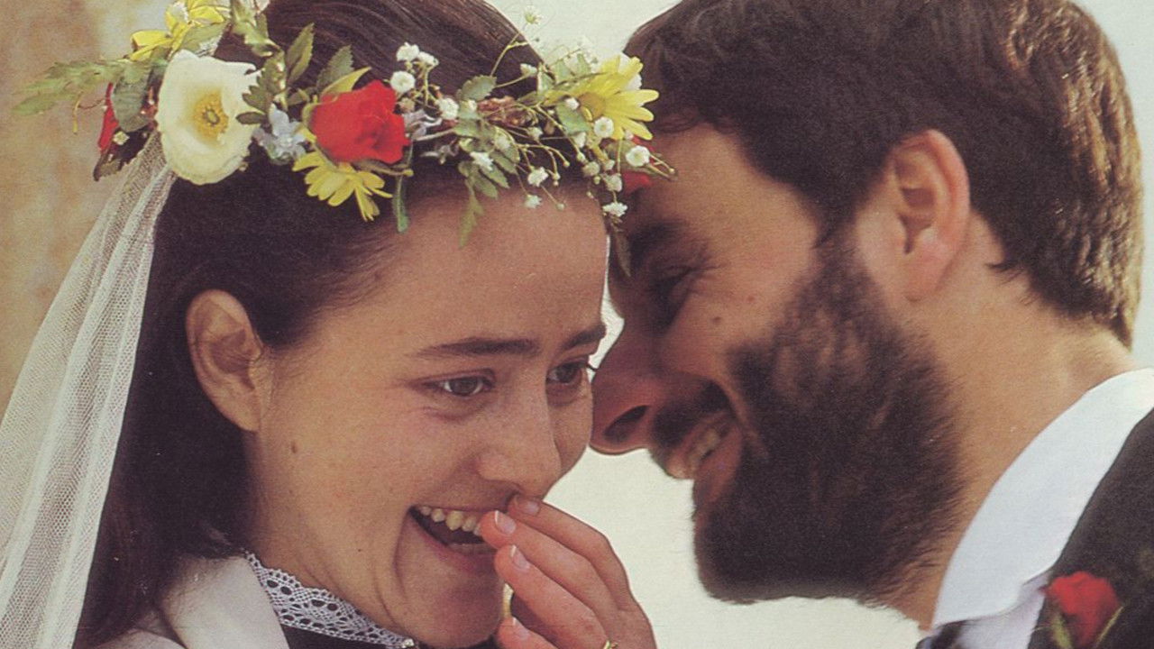 If the Sun Never Returns Background