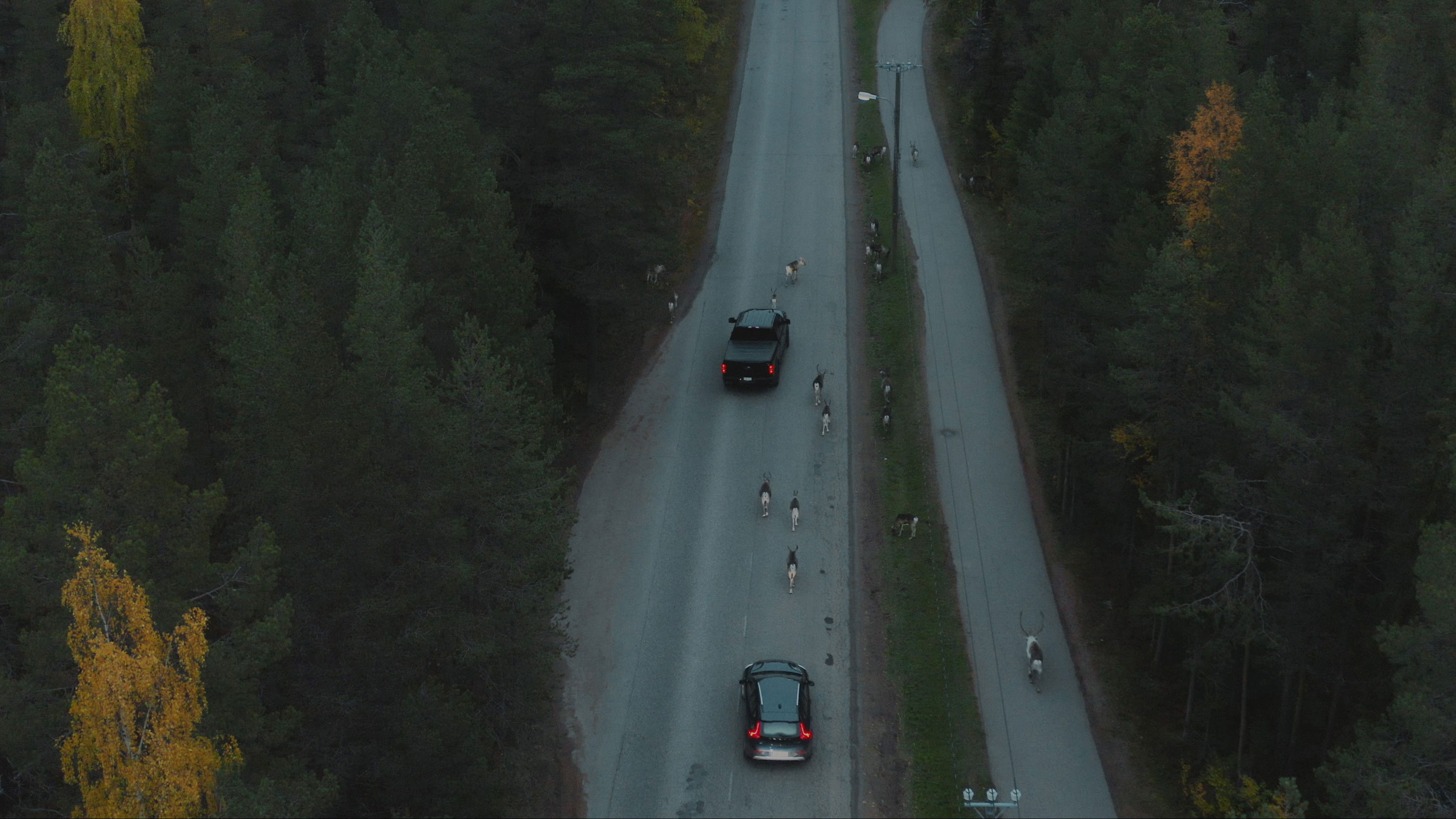 Snowball Effect Background