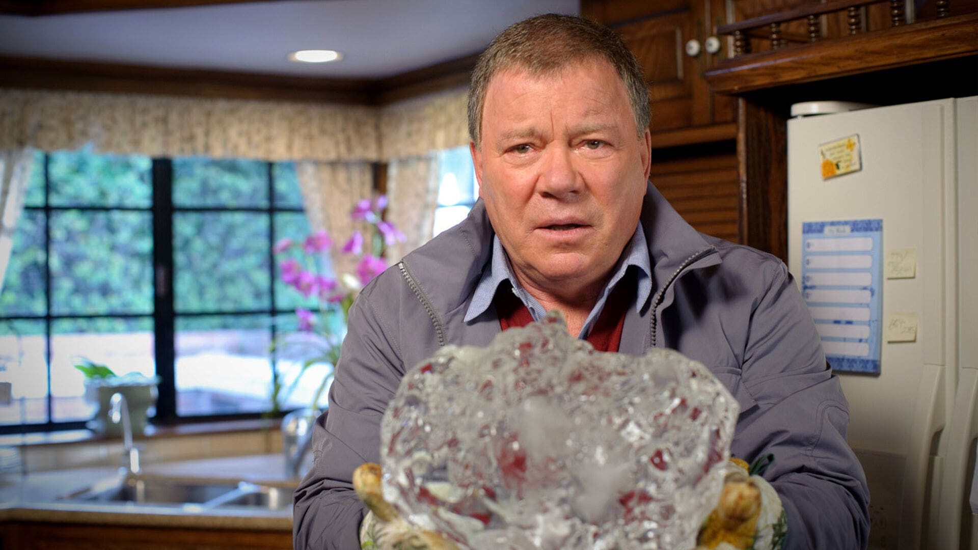 William Shatner's Weird or What? Background