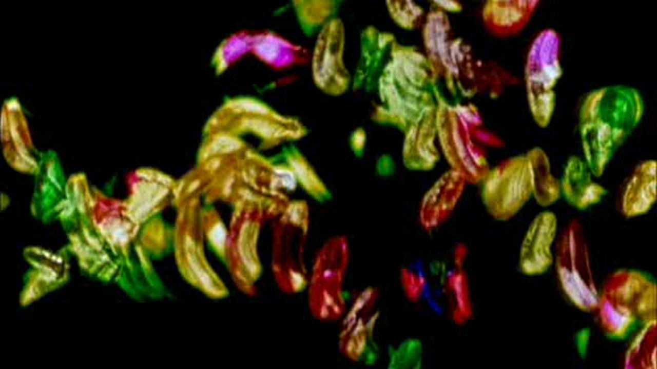 Glaze of Cathexis Background