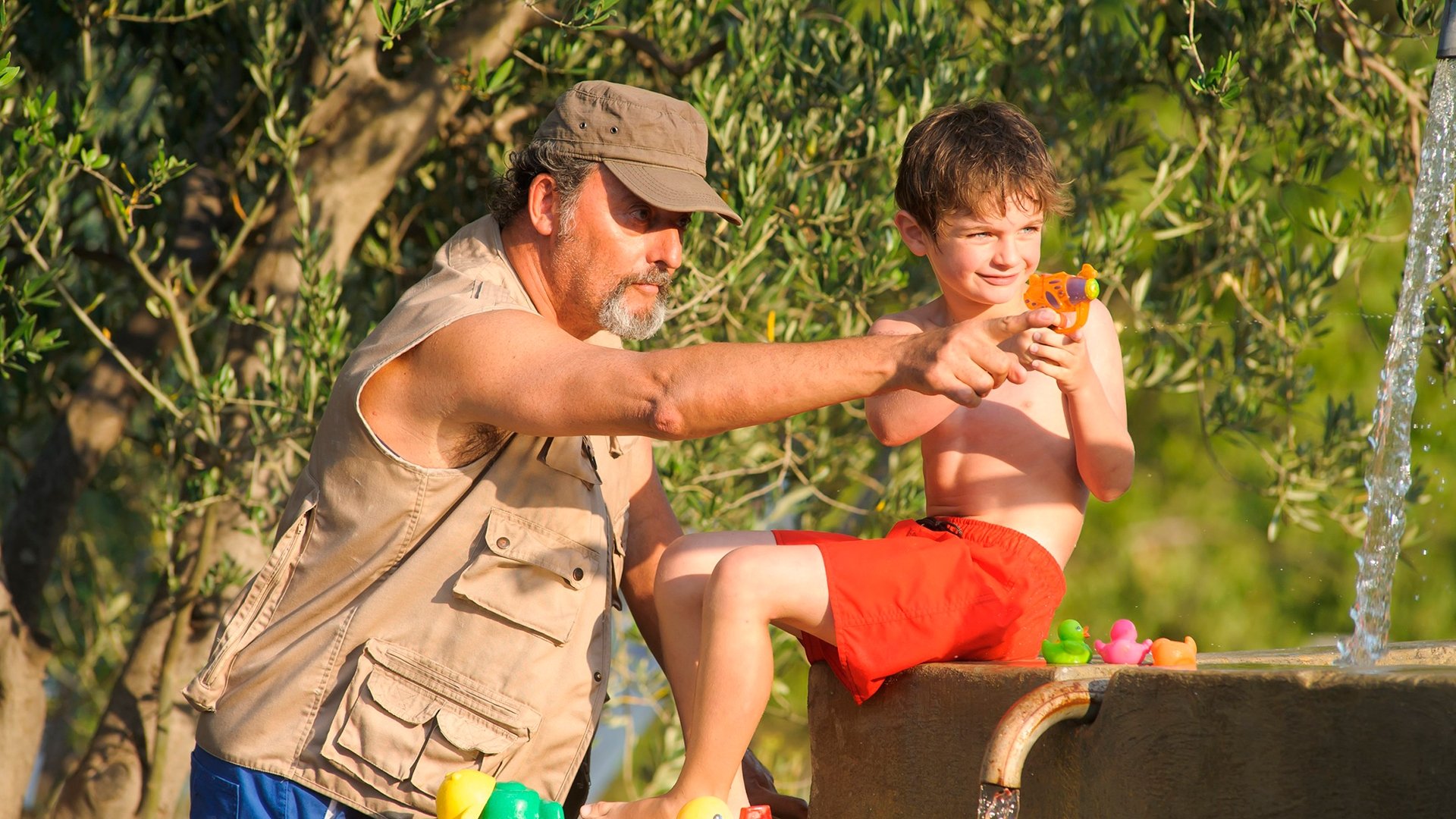 My Summer in Provence Background