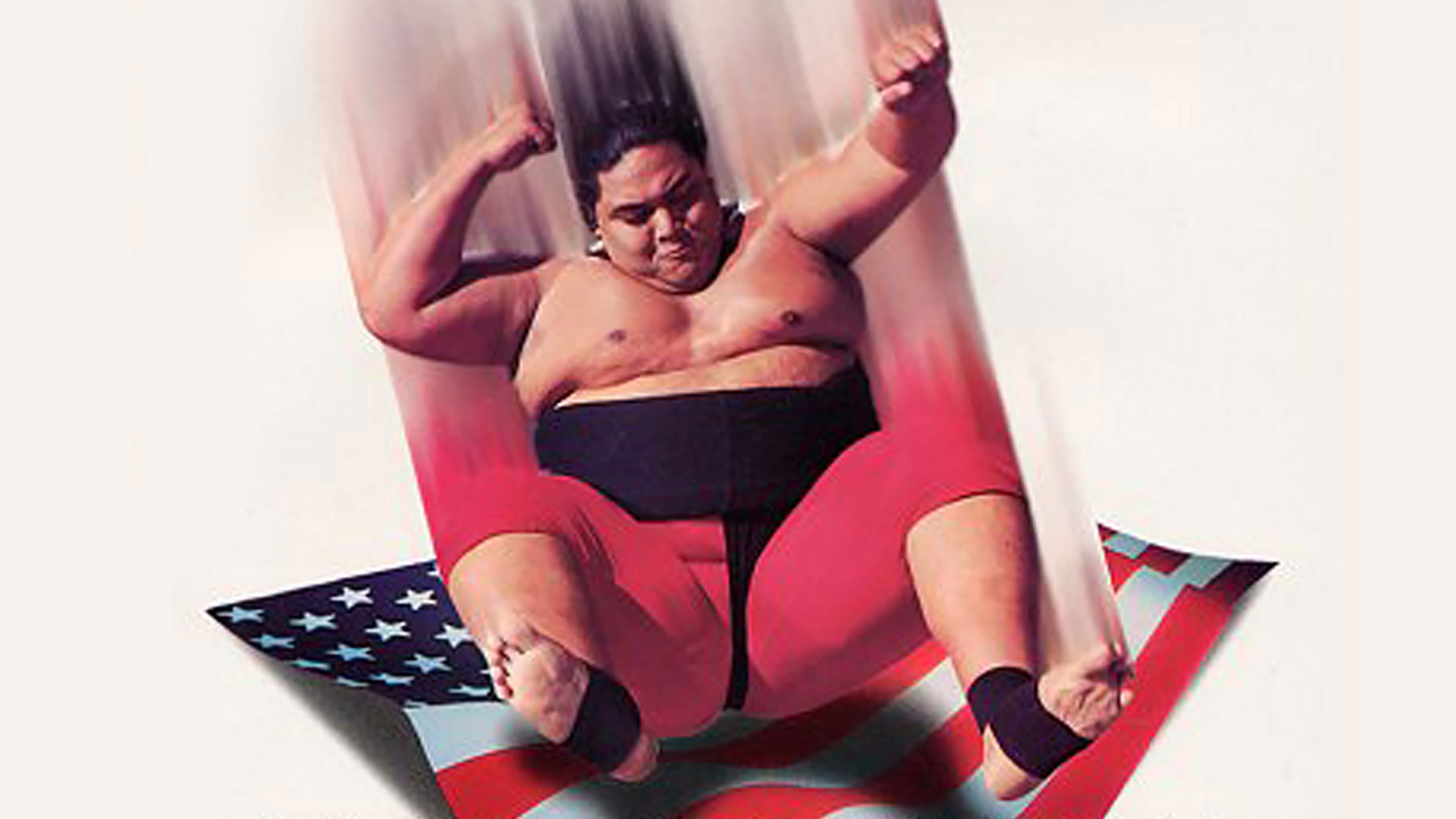 WWE SummerSlam 1993 Background