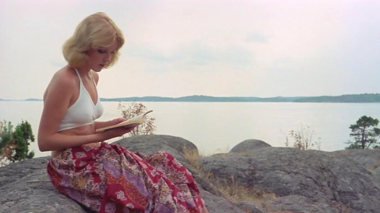 Laura's Toys Background