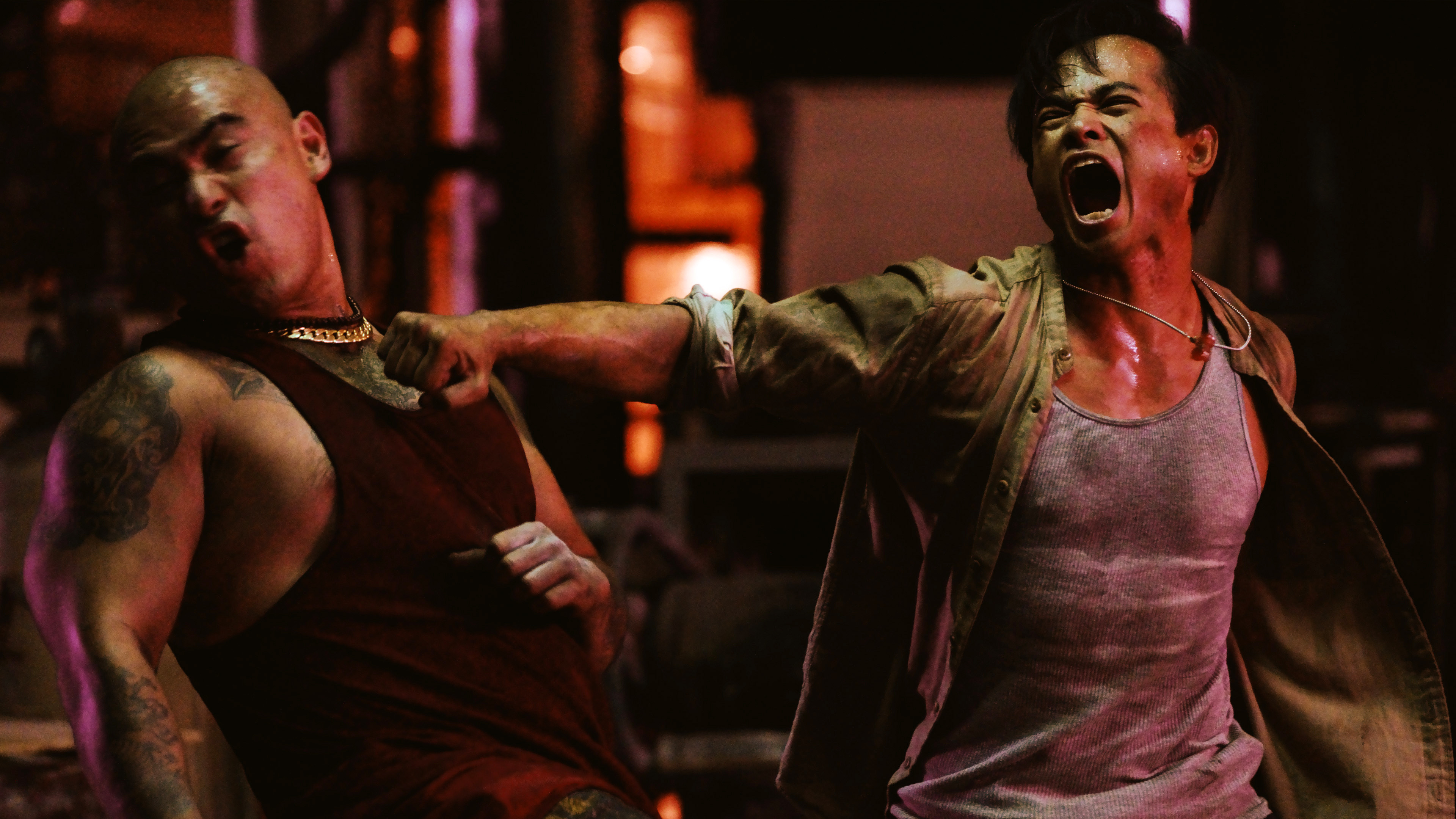 Bangkok Dog Background