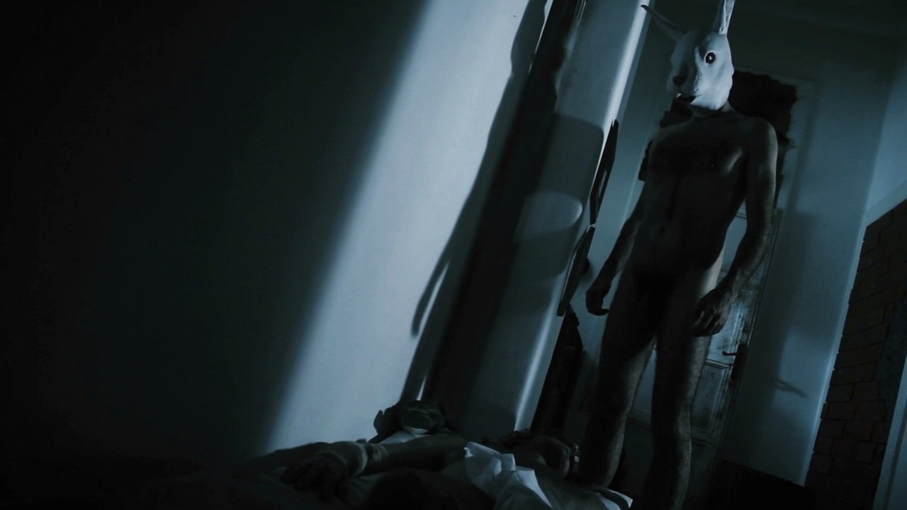 Red Krokodil Background