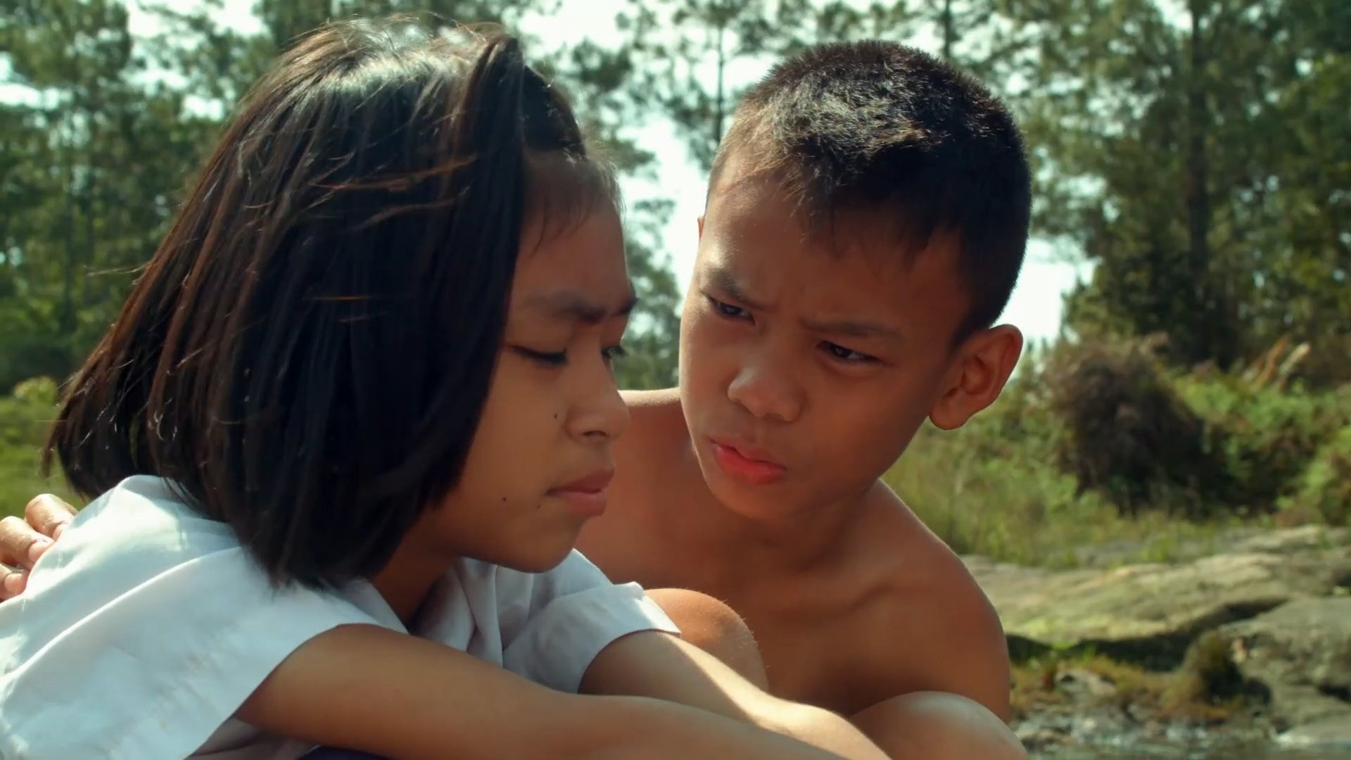 The Forest Background