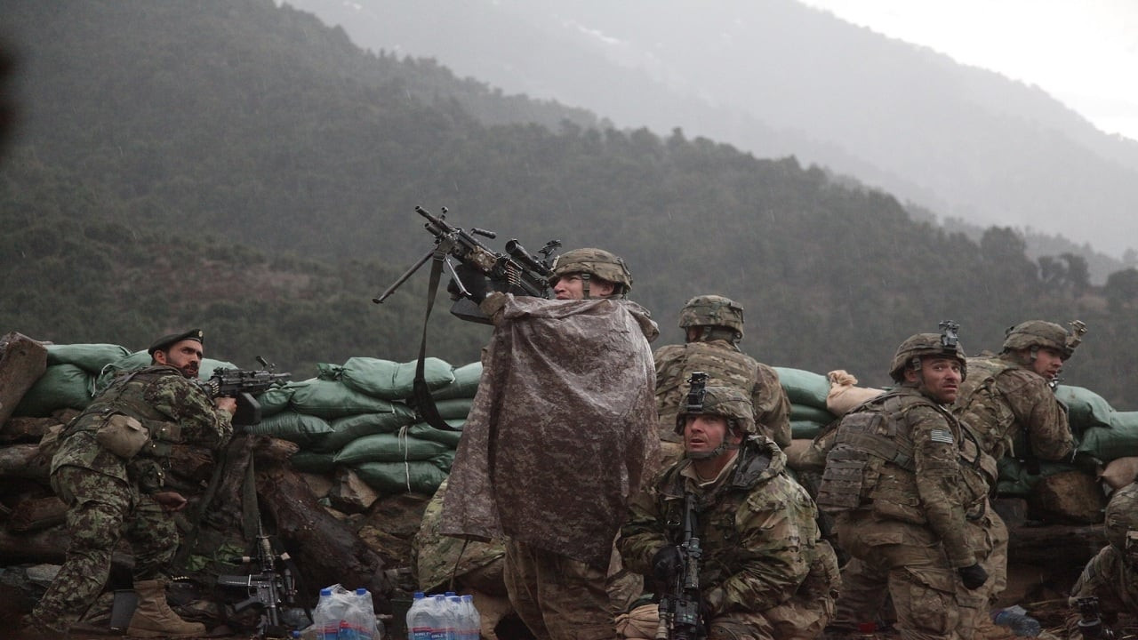 The Hornet's Nest Background