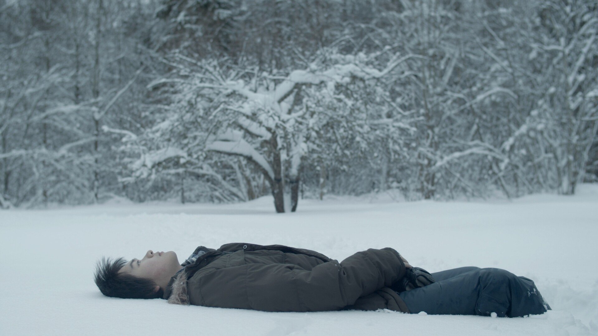 The Watchman Background