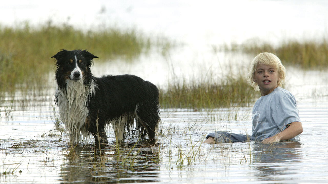 Finding Friends Background