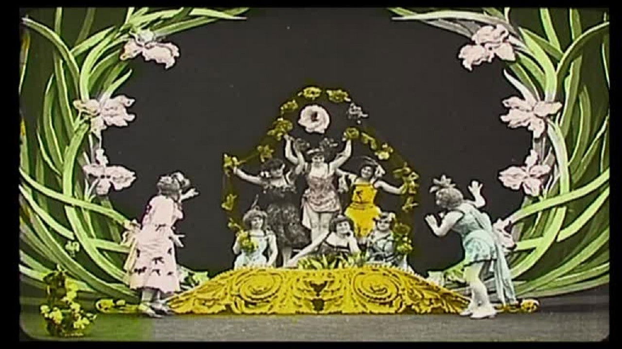 The Tulips Background