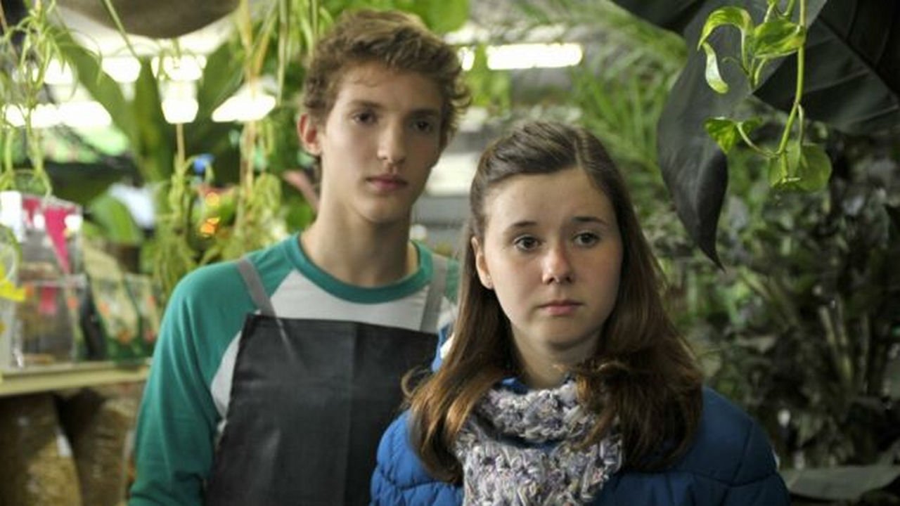 Aurélie Laflamme's Diary Background