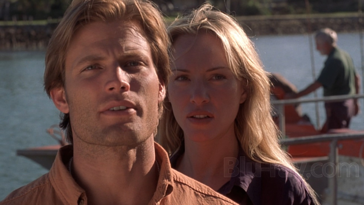 Shark Attack Background