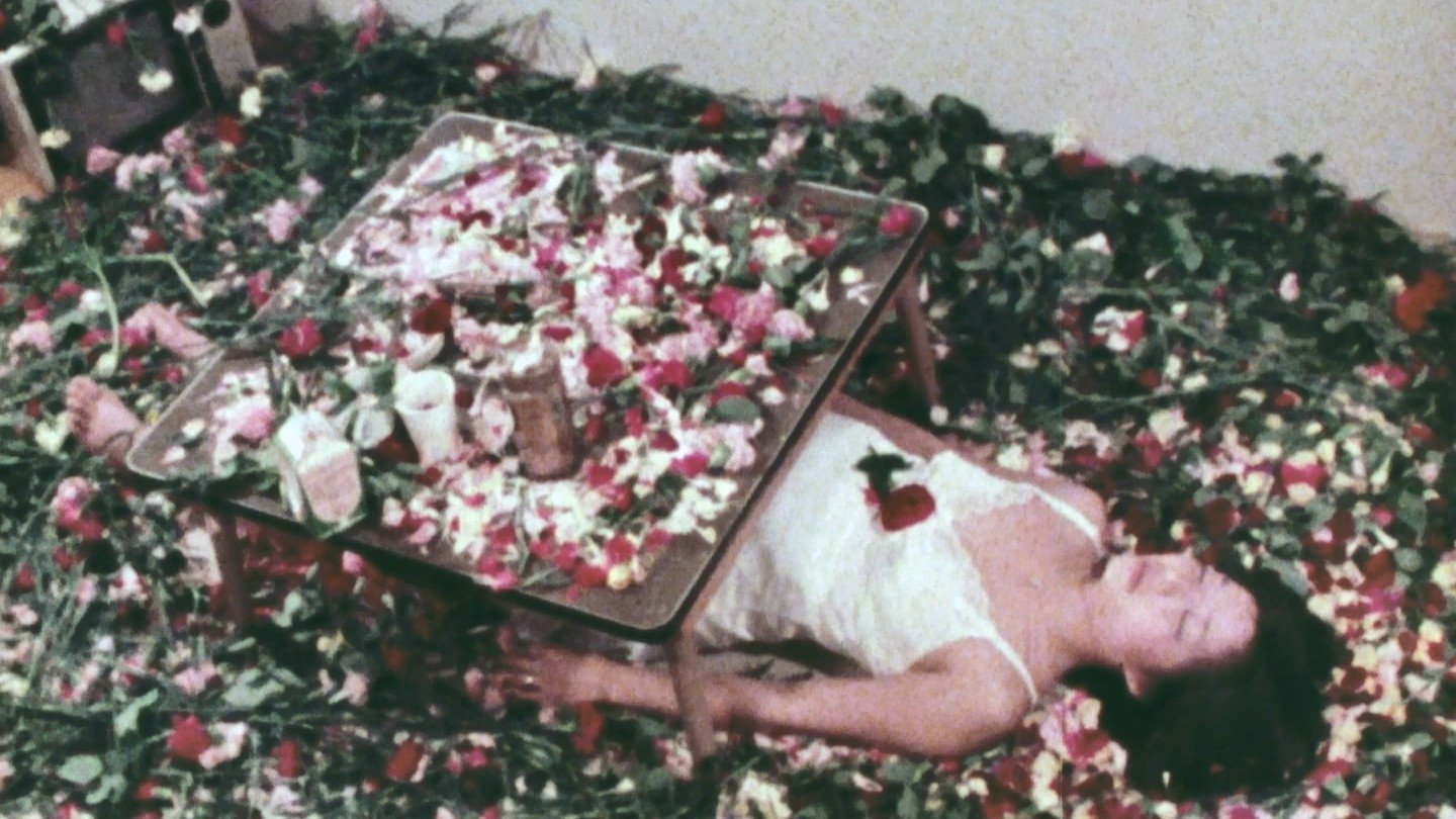 Afternoon Breezes Background