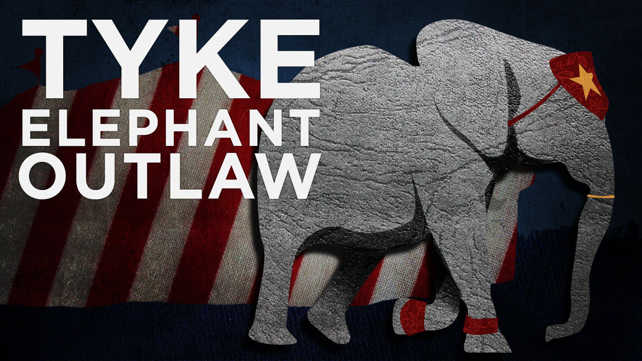 Tyke Elephant Outlaw Background