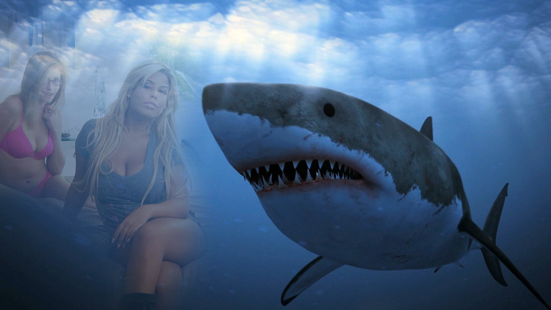 Shark Babes Background