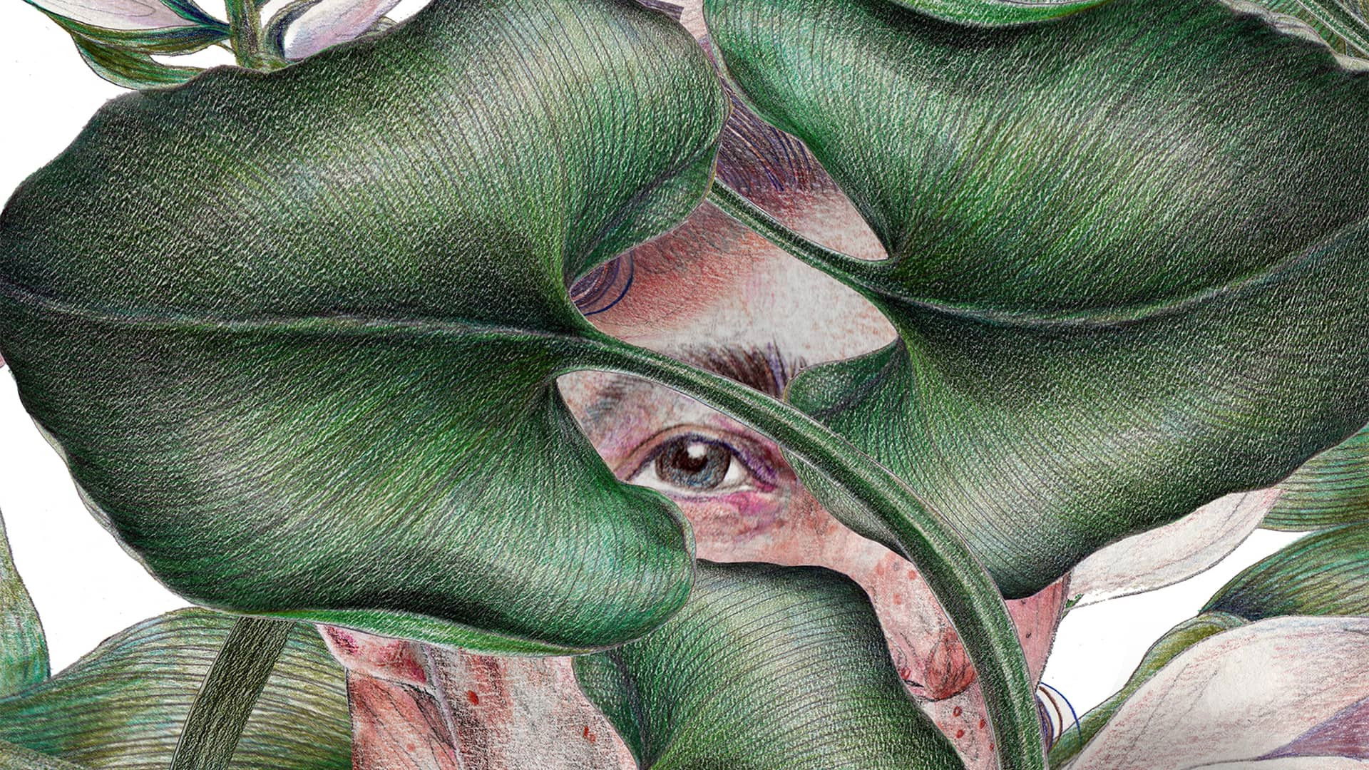 Nothing Is Lost Background