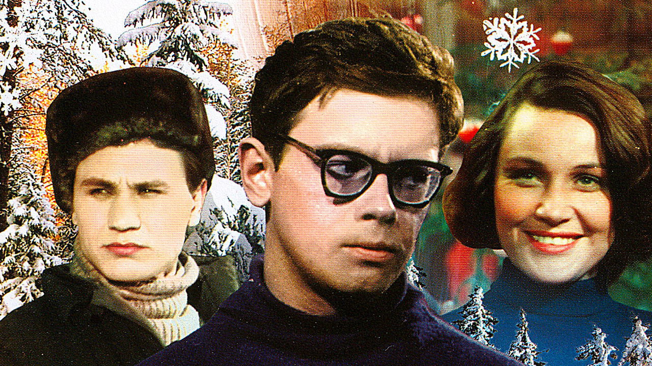 Dima Gorin's Career Background