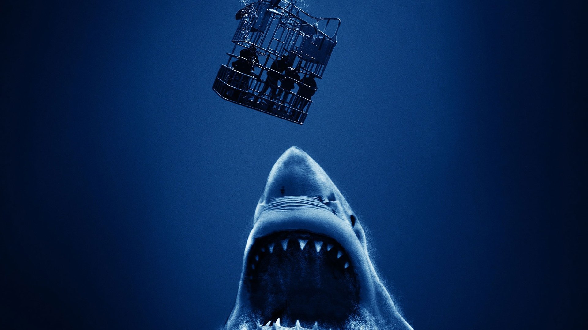 Cage Dive Background