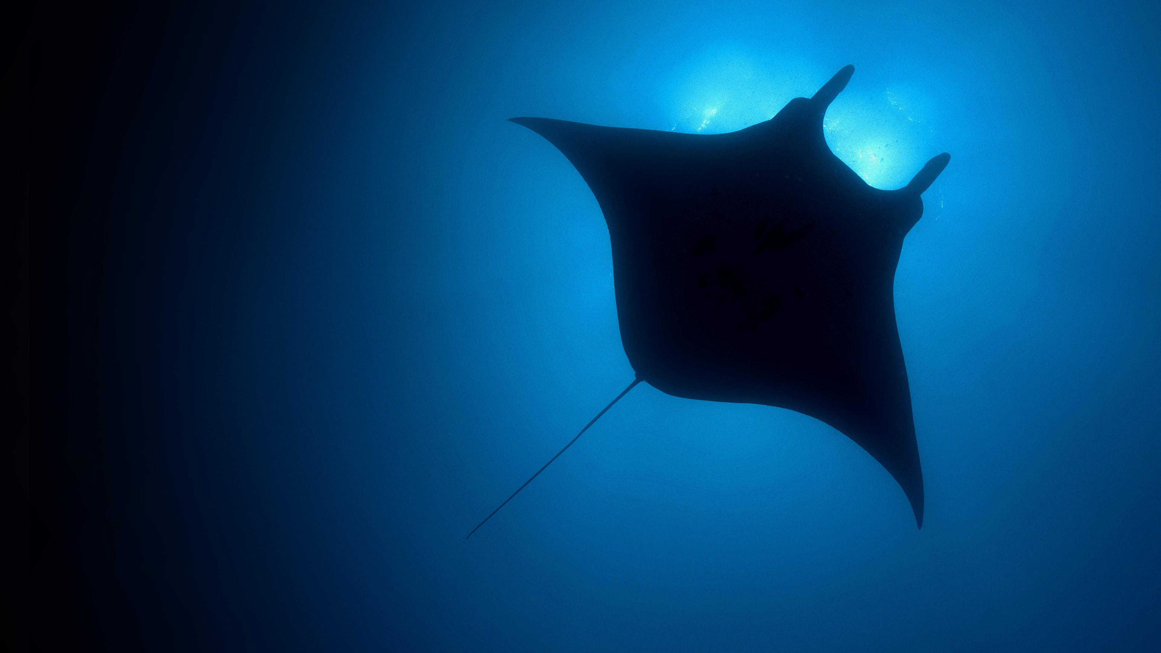 The Blue Planet Background