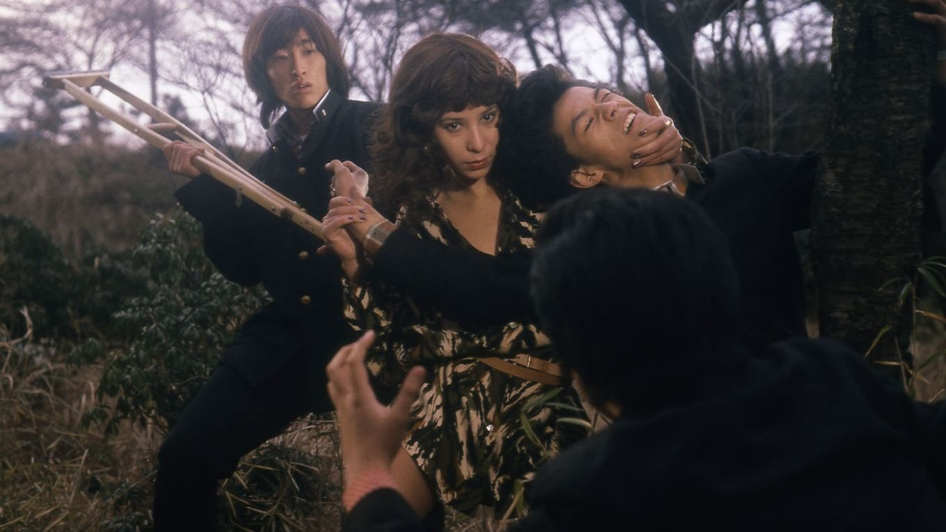 Teacher Deer Background