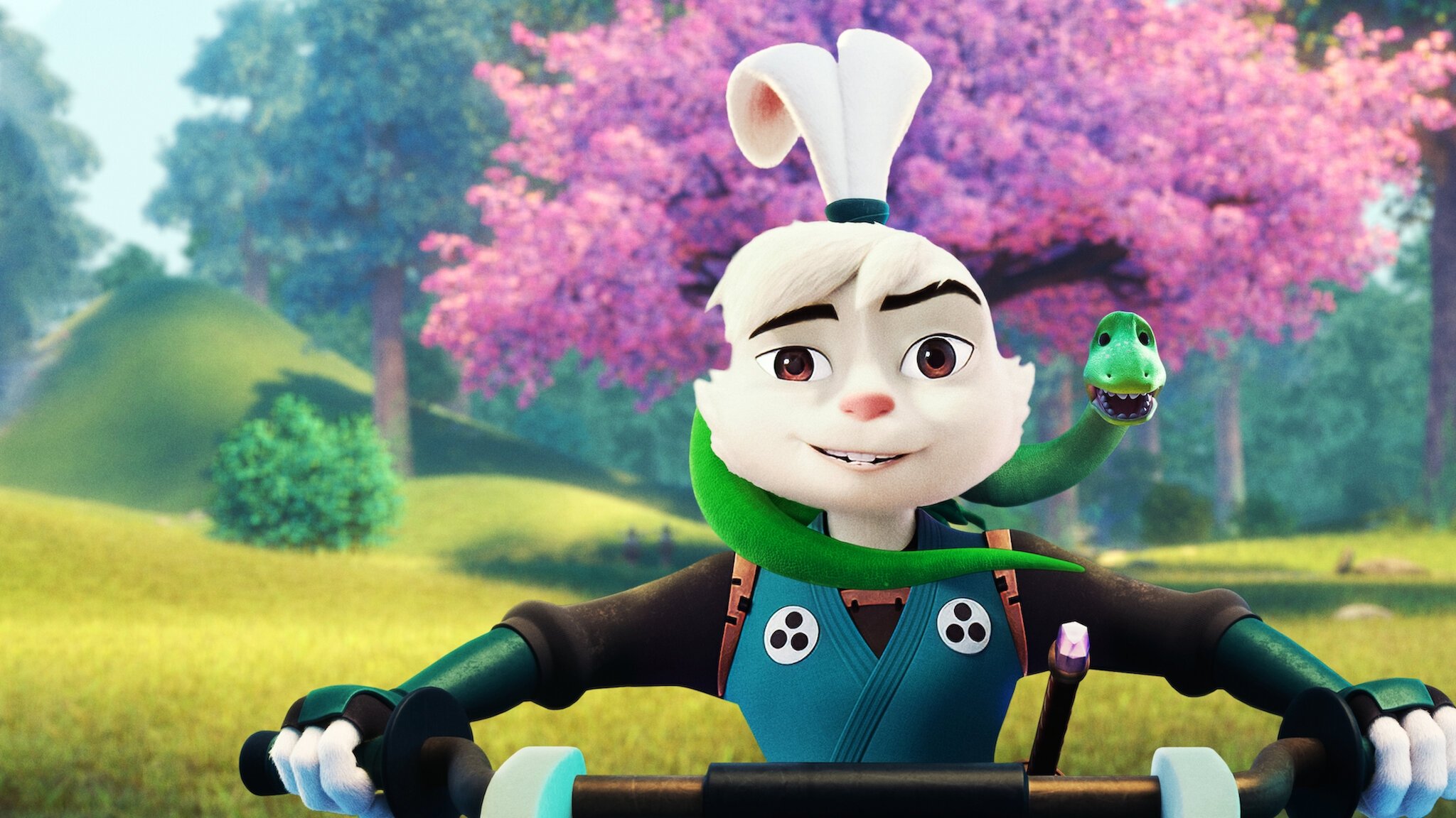 Samurai Rabbit: The Usagi Chronicles Background