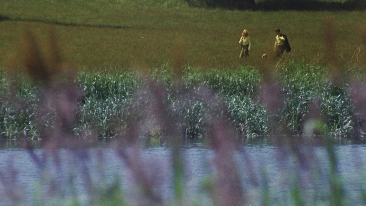Here We Go Round the Mulberry Bush Background