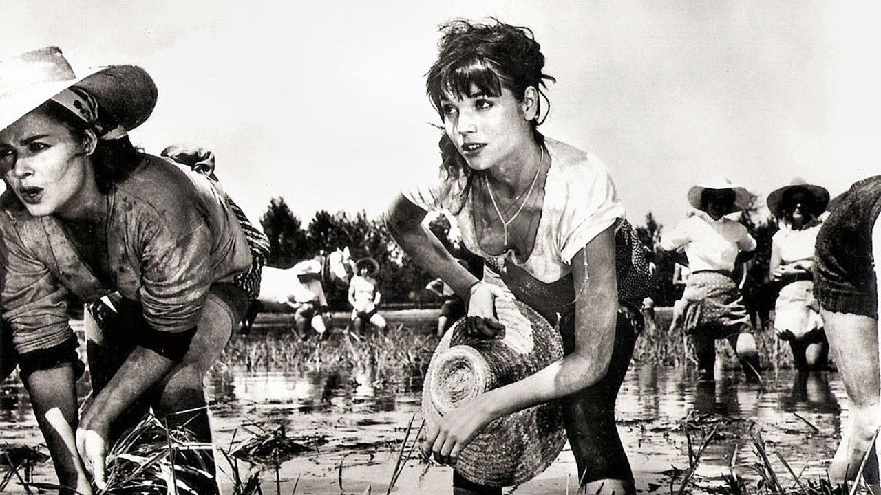 Rice Girl Background