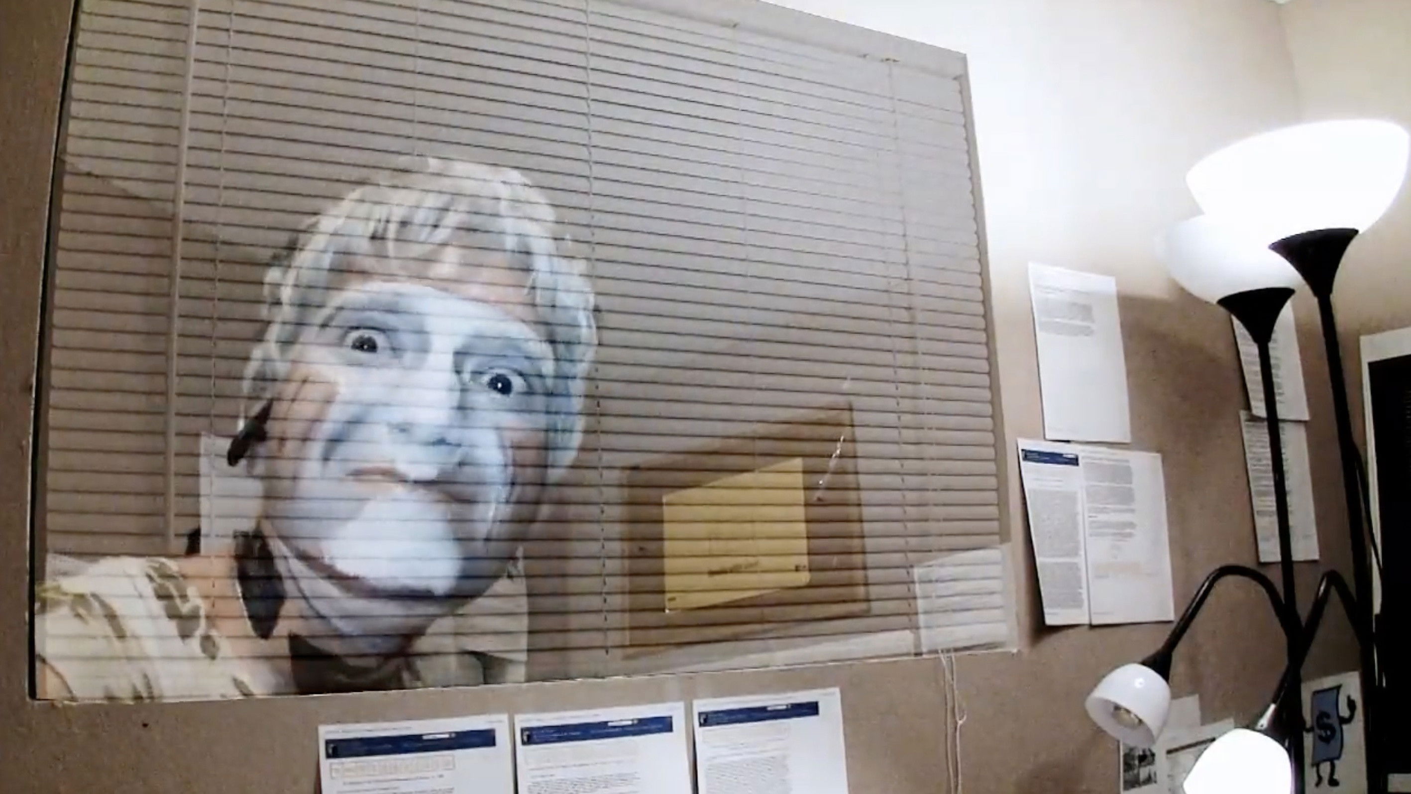 Roamie View: History Enhancement Background