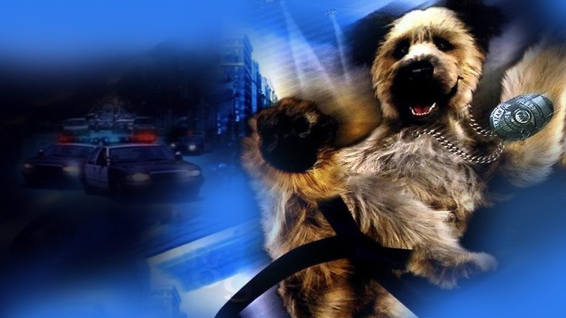 The Karate Dog Background