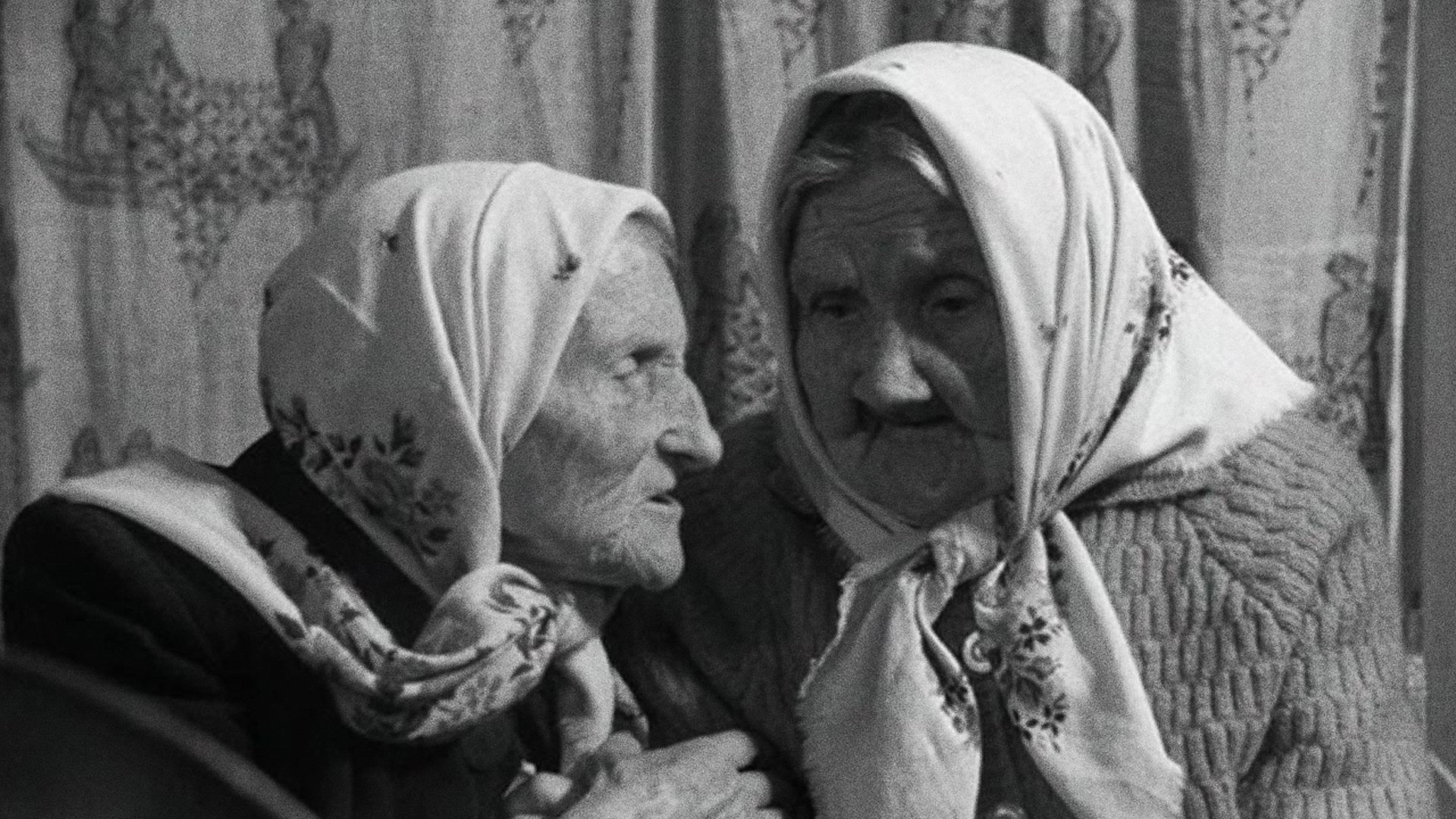 The Dreams of the Centenarians Background