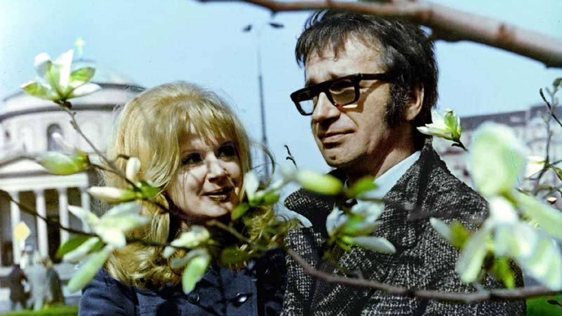 A Jungle Book of Regulations Background