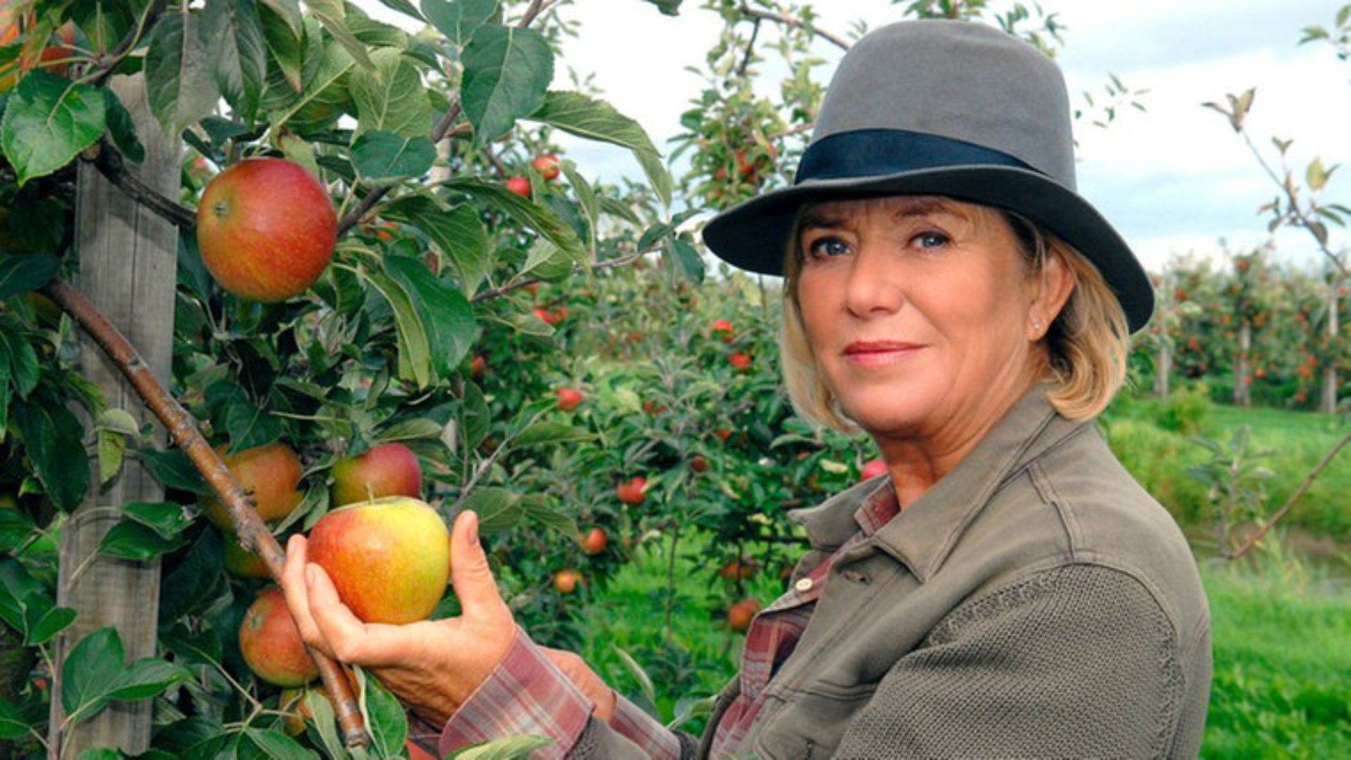 Annas Erbe Background