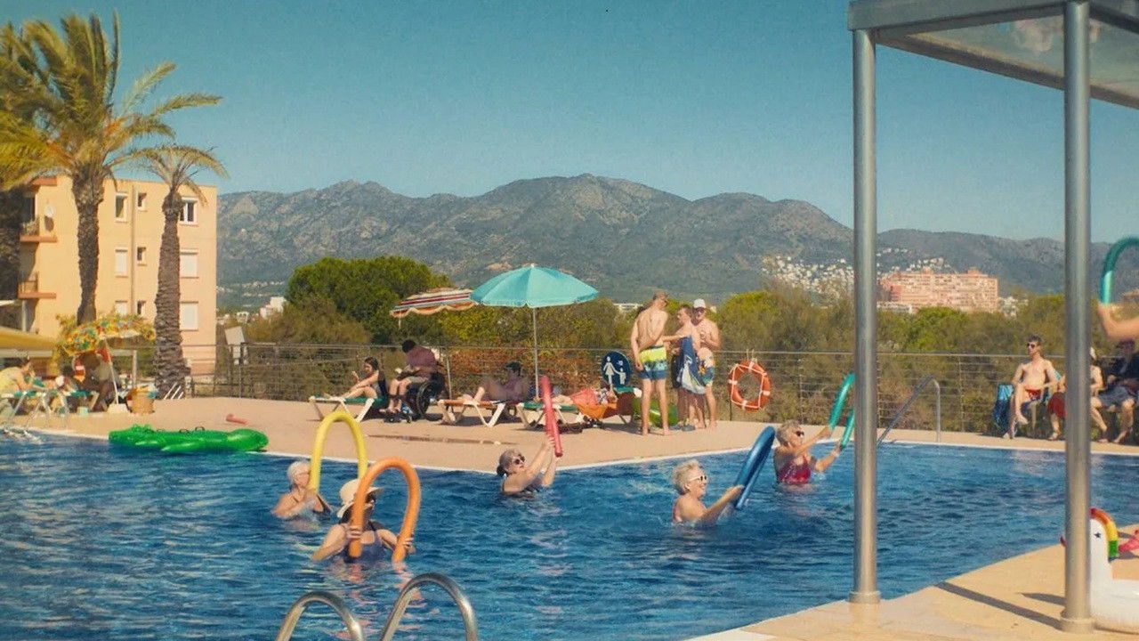 Made of Sugar Background