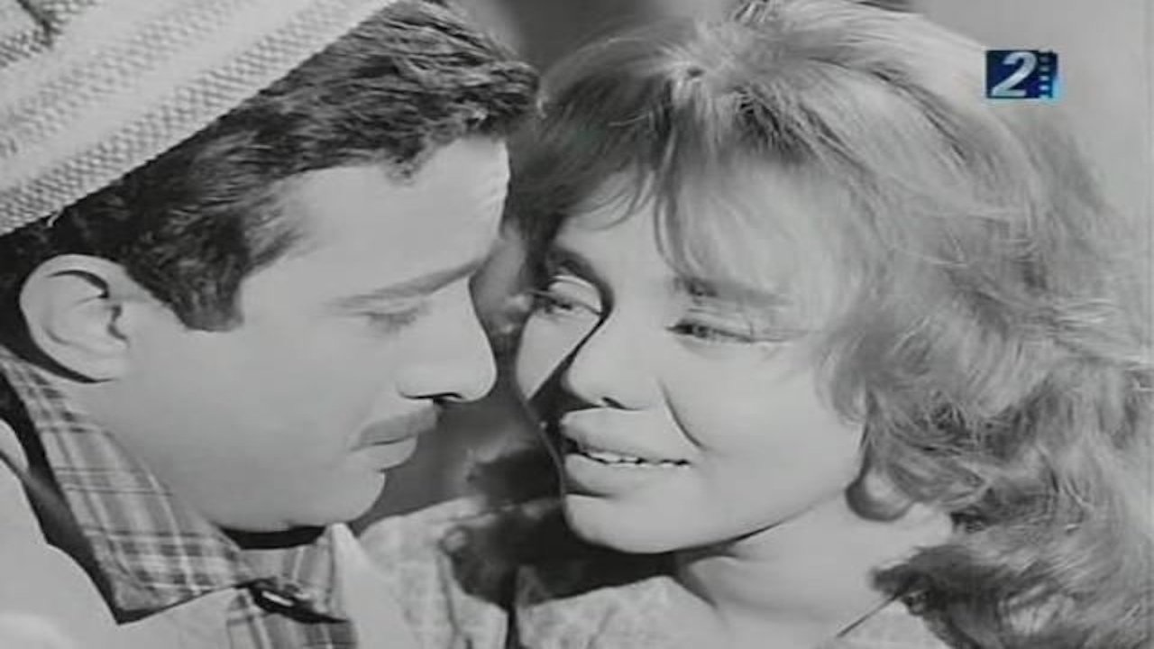 The Newspaper Seller Background